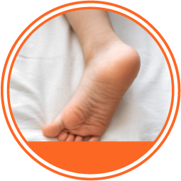 Neuropatía hereditaria círculo